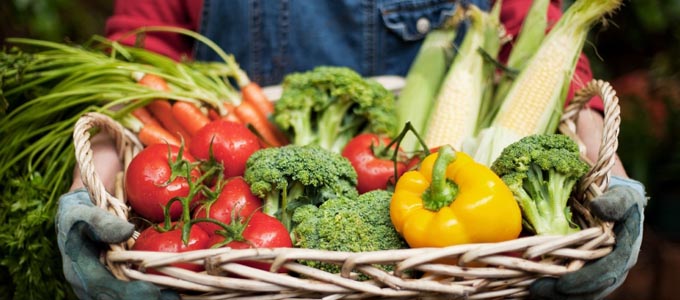 LocalHarvest.org
