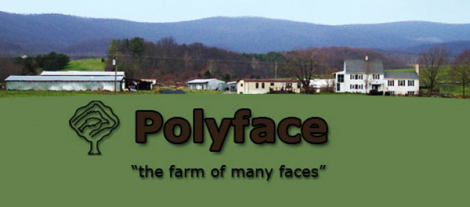 More than a farm tour
