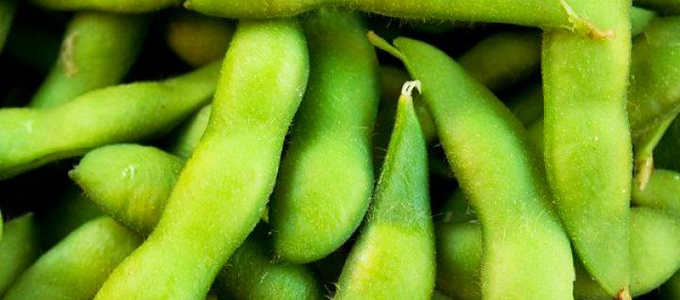 15 Ways to Enjoy Edamame