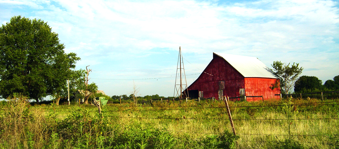 My time on the farm