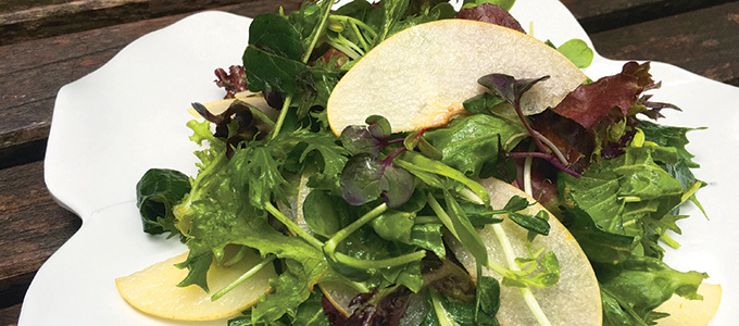 Asian Pear Salad
