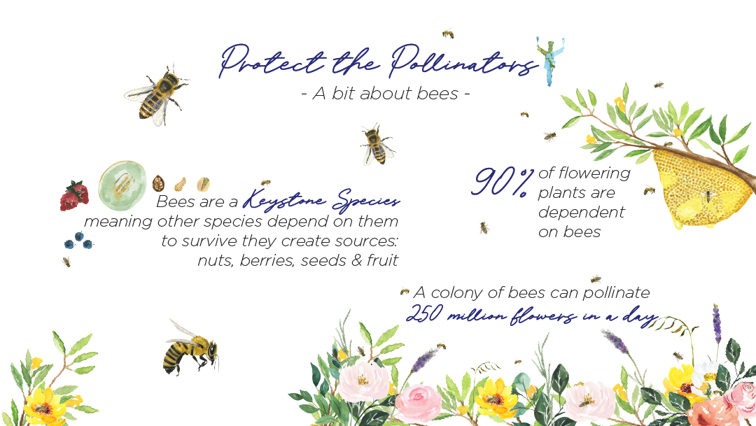 Earth Week: Protect the Pollinators